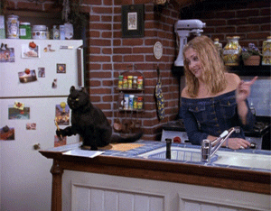 Sabrina the Teenage Witch